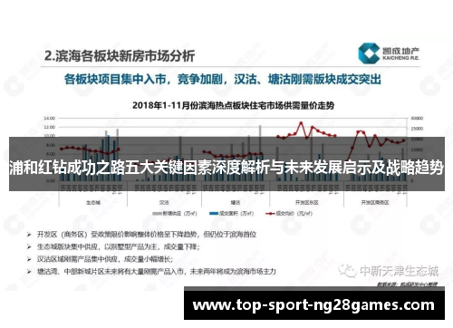 浦和红钻成功之路五大关键因素深度解析与未来发展启示及战略趋势
