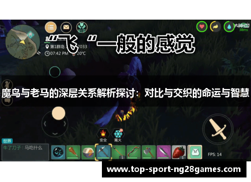 魔鸟与老马的深层关系解析探讨：对比与交织的命运与智慧