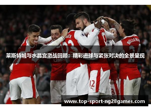 莱斯特城与水晶宫激战回顾：精彩进球与紧张对决的全景呈现
