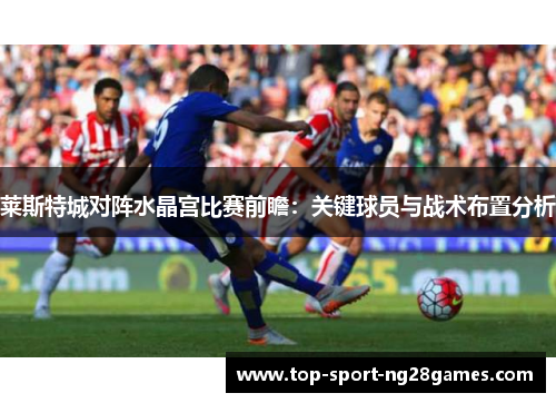 莱斯特城对阵水晶宫比赛前瞻：关键球员与战术布置分析
