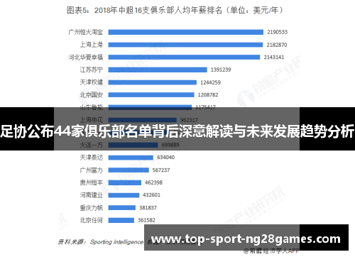 足协公布44家俱乐部名单背后深意解读与未来发展趋势分析