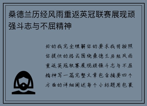 桑德兰历经风雨重返英冠联赛展现顽强斗志与不屈精神 桑德兰历经风雨重返英冠联赛展现顽强斗志与不屈精神