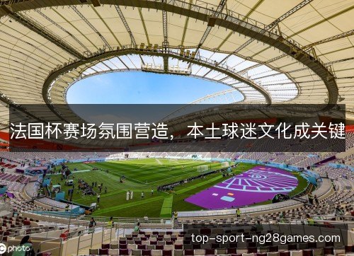 法国杯赛场氛围营造，本土球迷文化成关键