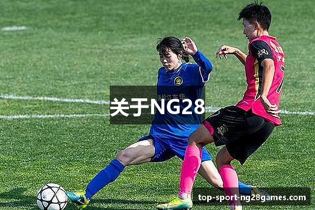 关于NG28